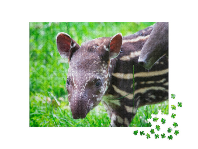 Puzzle de 1000 pièces « Tapir de neuf jours dans l'herbe verte »