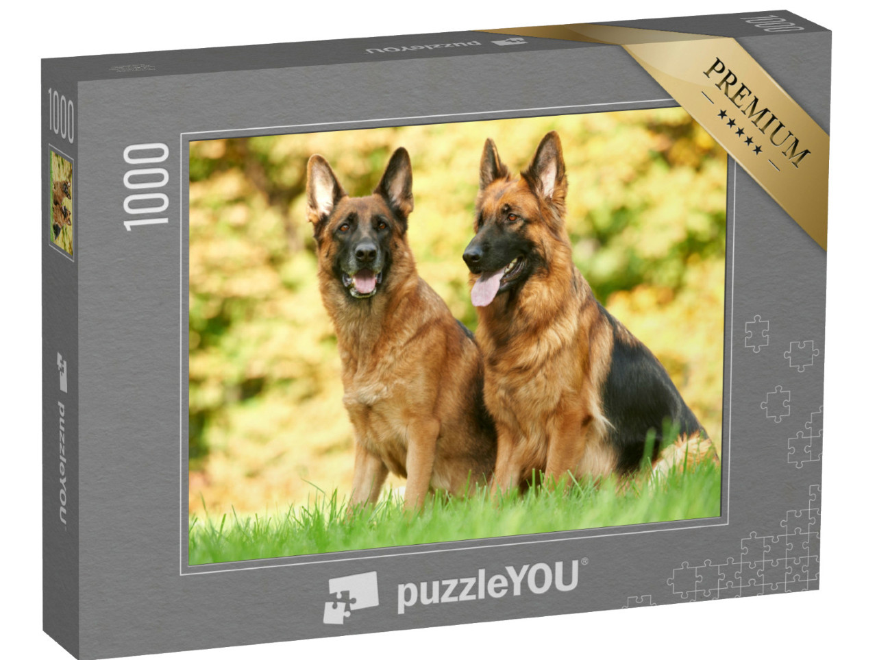 Puzzle de 1000 pièces « Deux bergers allemands assis dans l'herbe »