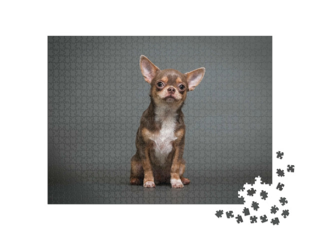Puzzle de 1000 pièces « Chiot chihuahua »