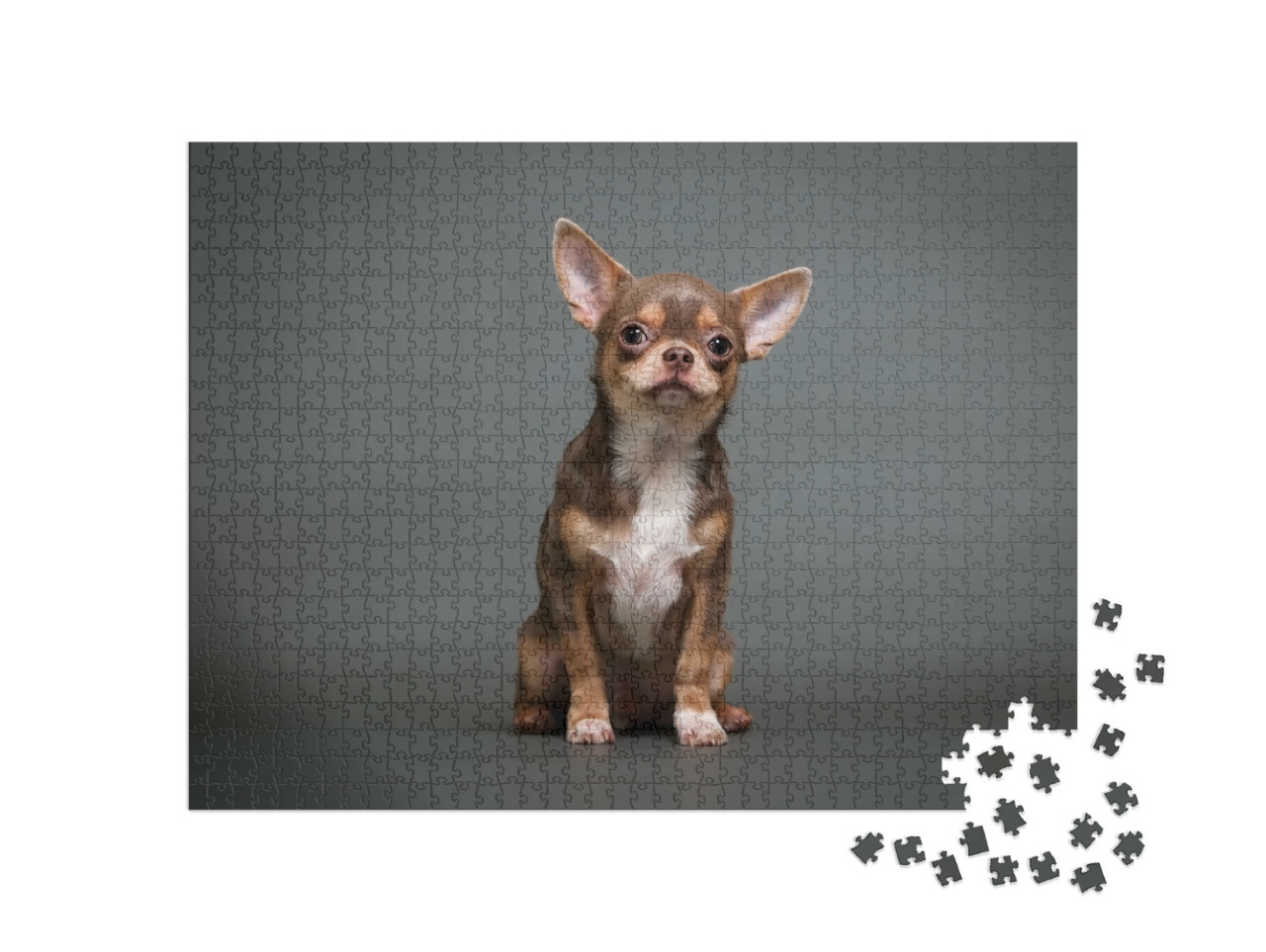 Puzzle de 1000 pièces « Chiot chihuahua »