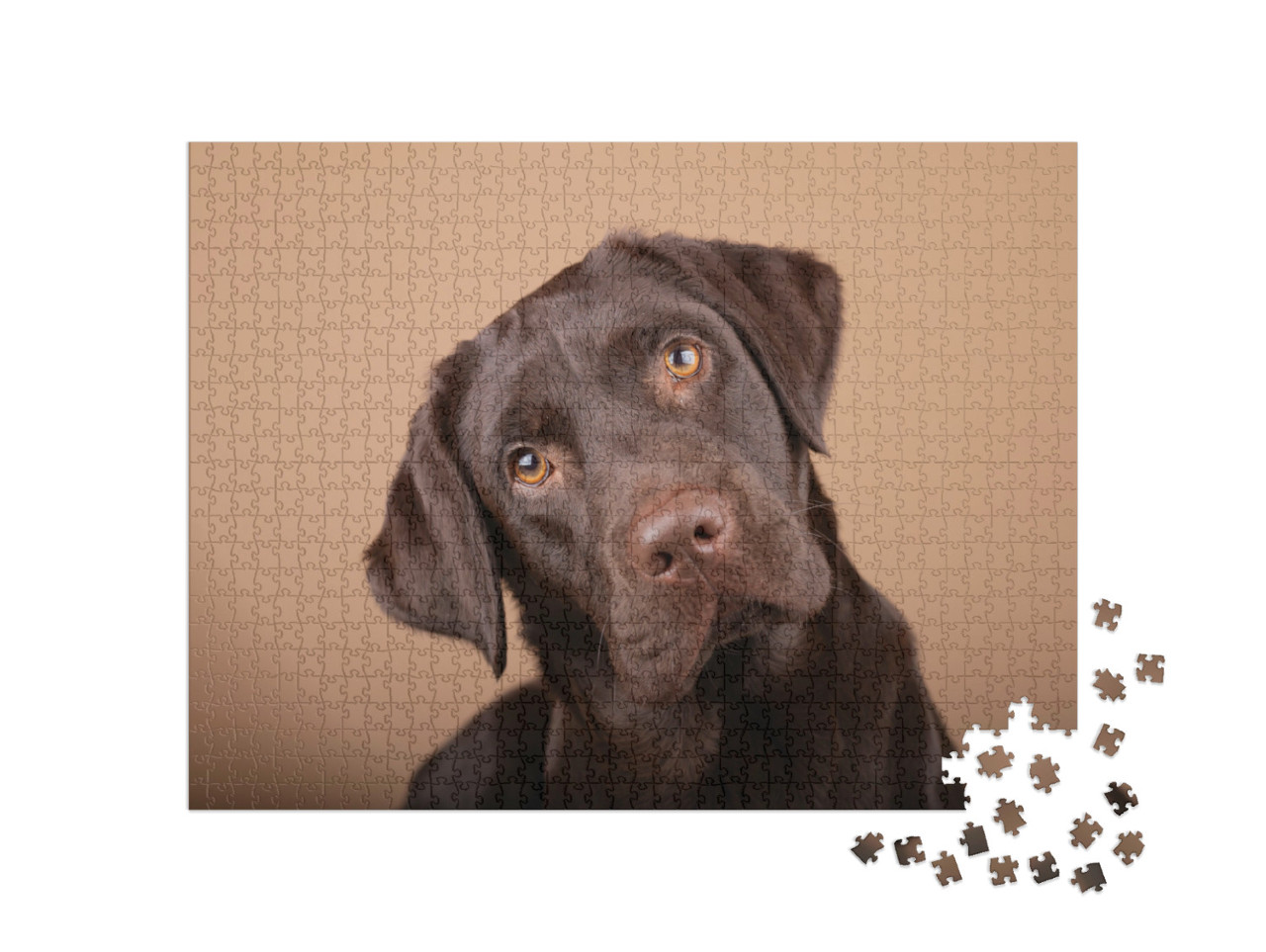 Puzzle de 1000 pièces « Labrador chiot au cœur tendre »