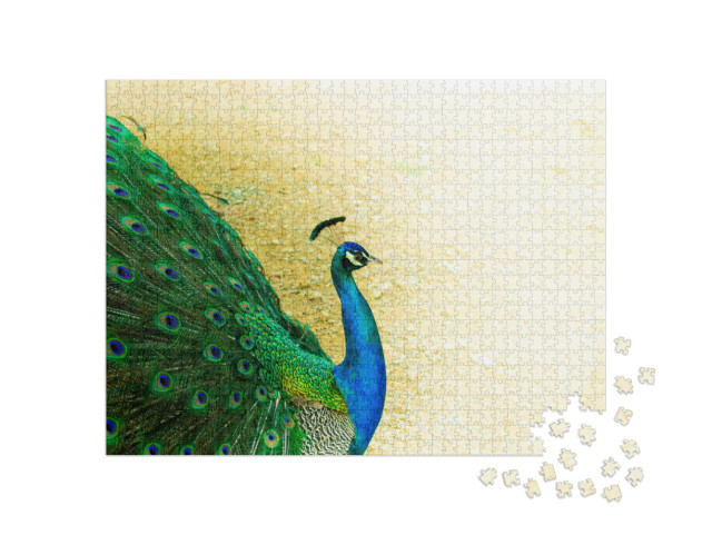 Puzzle de 1000 pièces « Gros plan sur un beau paon mâle indien »