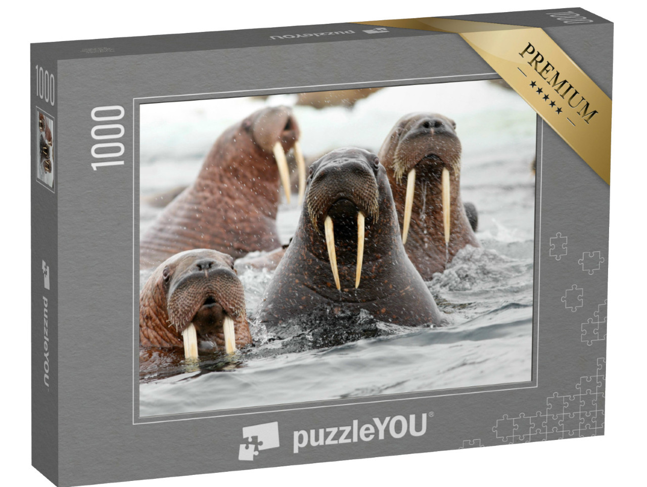 Puzzle de 1000 pièces « Un groupe de morses dans l'eau »