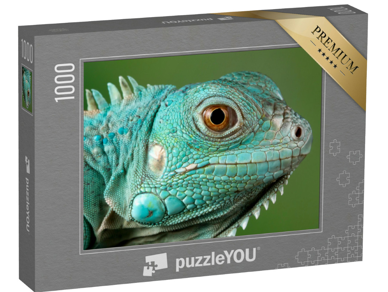 Puzzle de 1000 pièces « Iguane bleu »