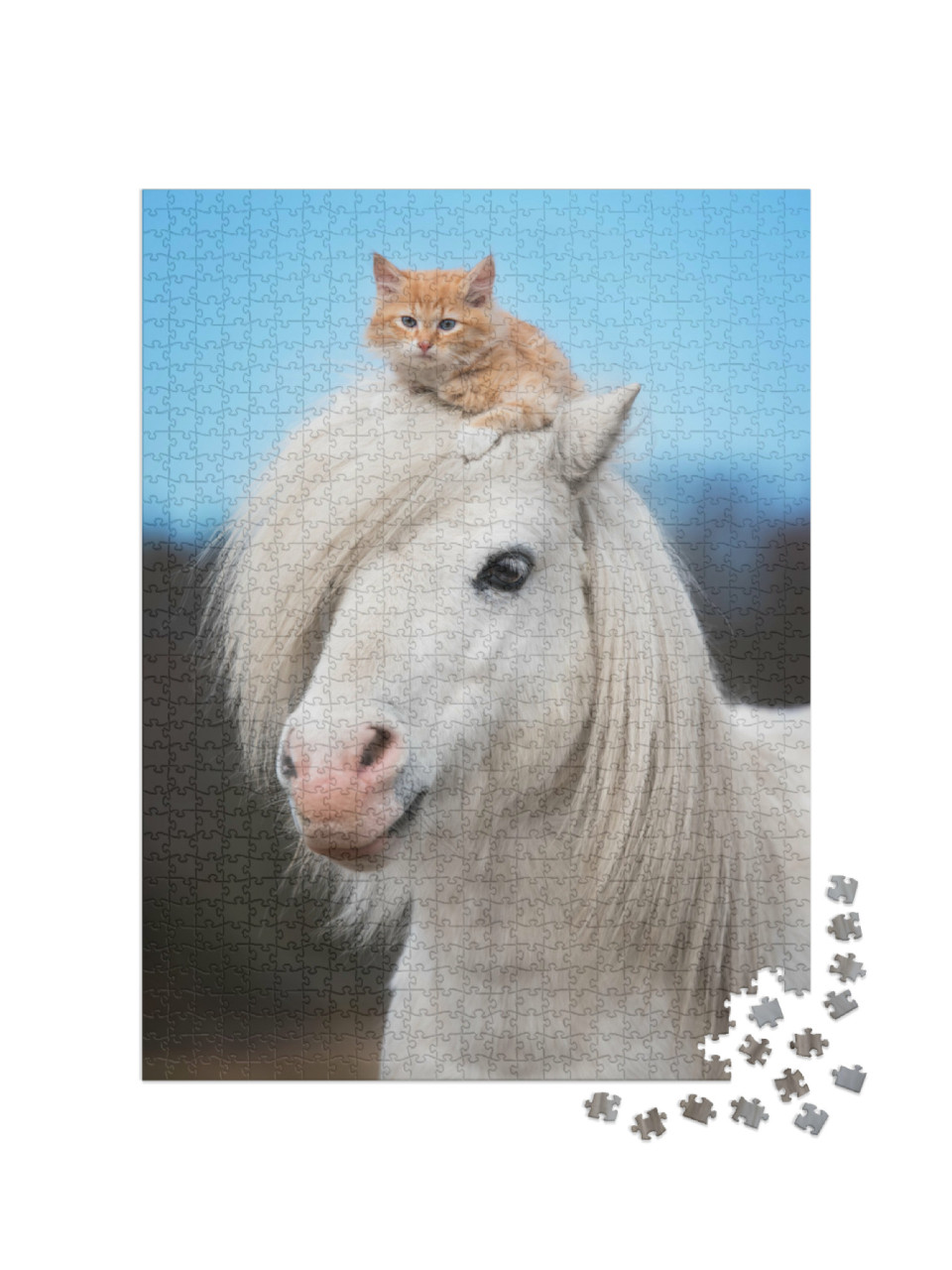 Puzzle de 1000 pièces « Petit chaton rouge sur la tête d'un poney shetland blanc »