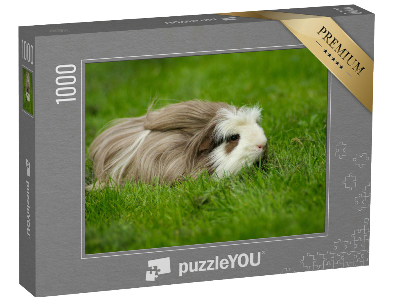 Puzzle de 1000 pièces « Cochon d'Inde, poil long avec peigne »