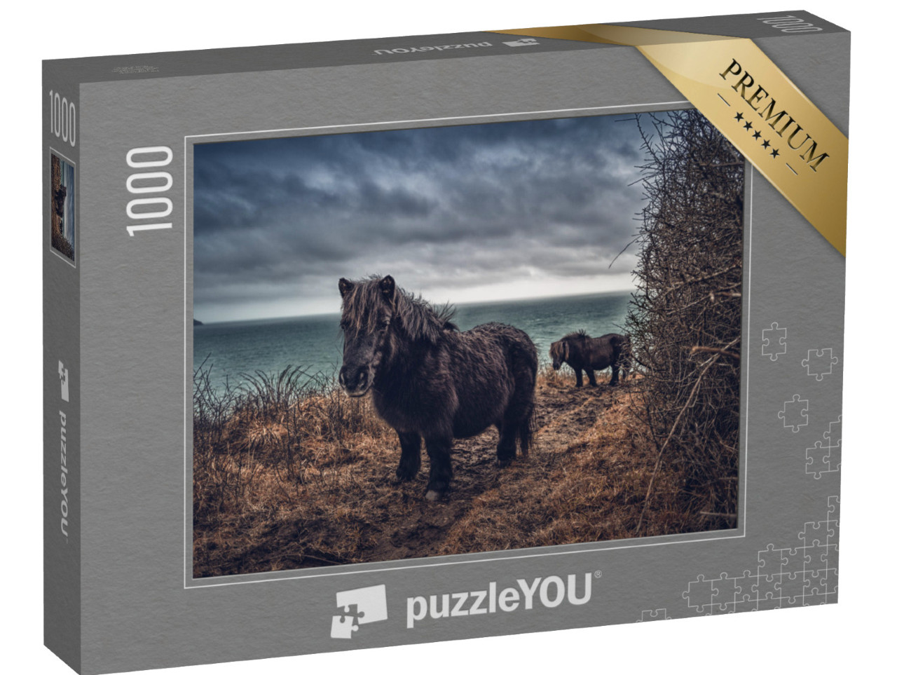 Puzzle de 1000 pièces « Poneys Shetland sur la côte de Cornouailles »