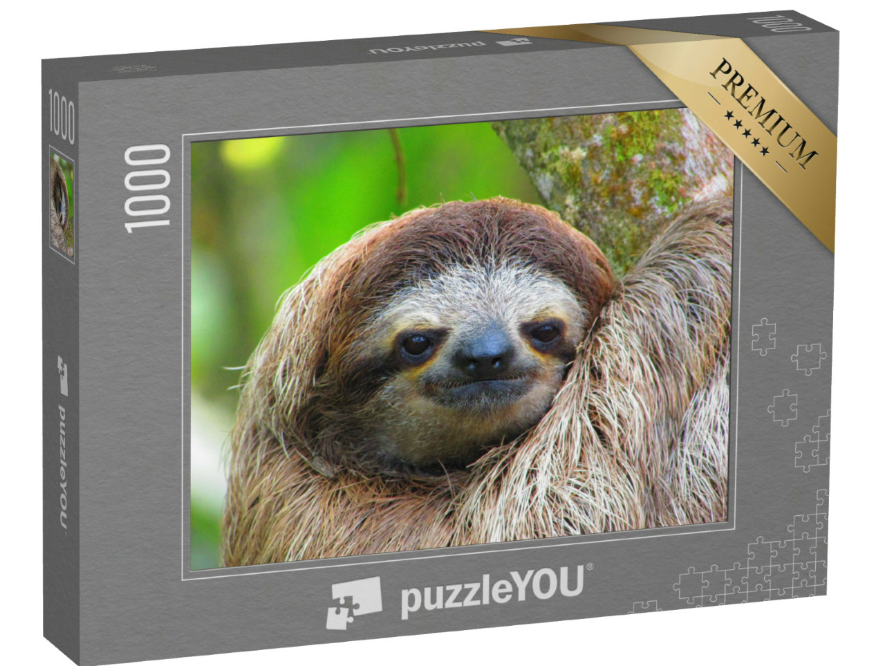 Puzzle de 1000 pièces « Paresseux éveillé du Costa Rica »