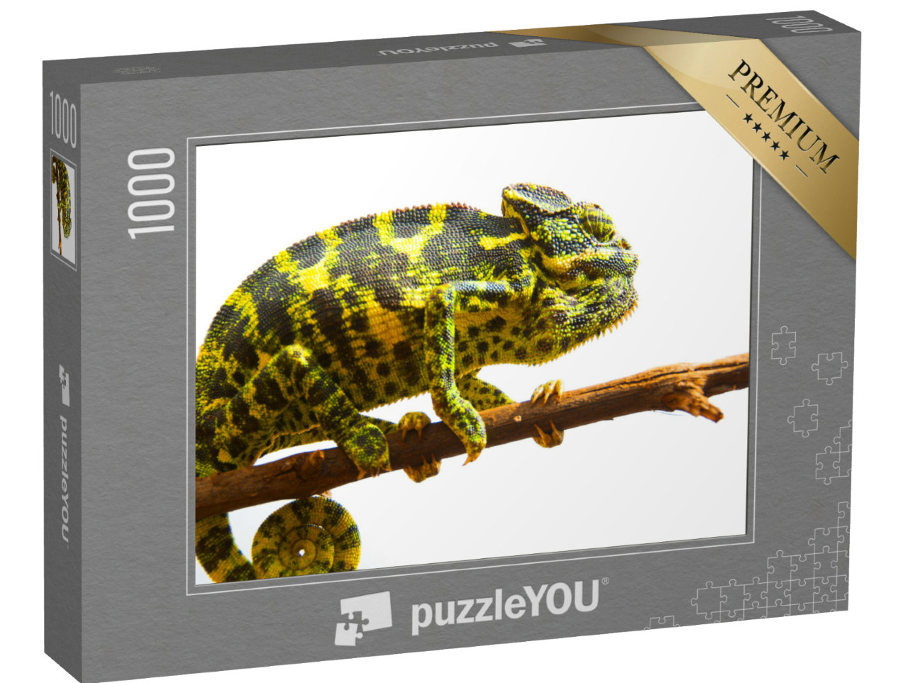 Puzzle de 1000 pièces « Caméléon commun »
