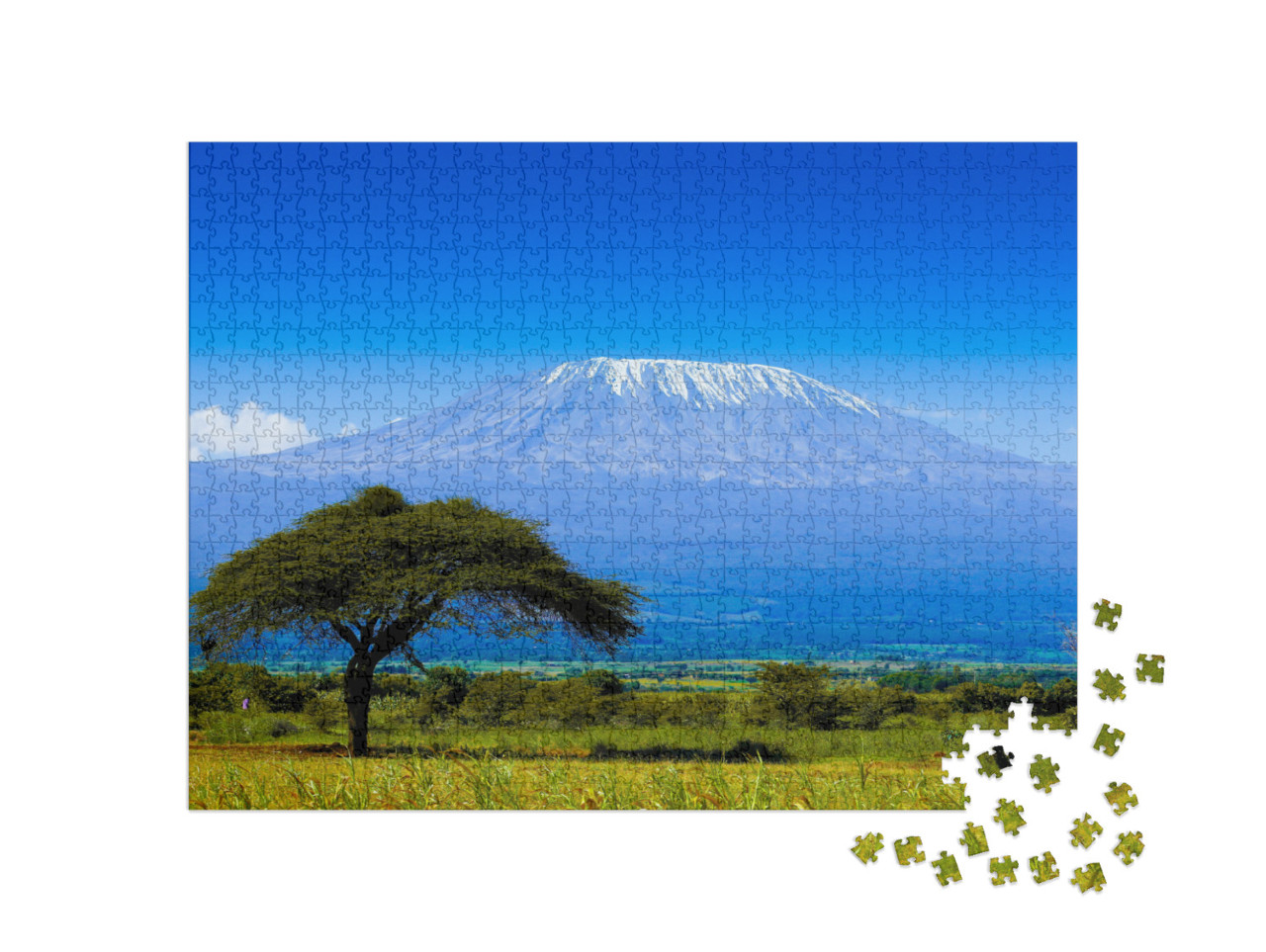 Puzzle de 1000 pièces « Kilimandjaro sur la savane africaine »