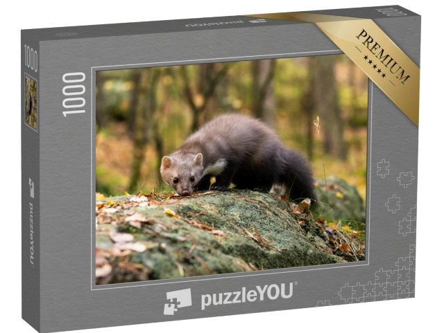 Puzzle de 1000 pièces « La martre d'Europe en quête de nourriture dans la forêt »