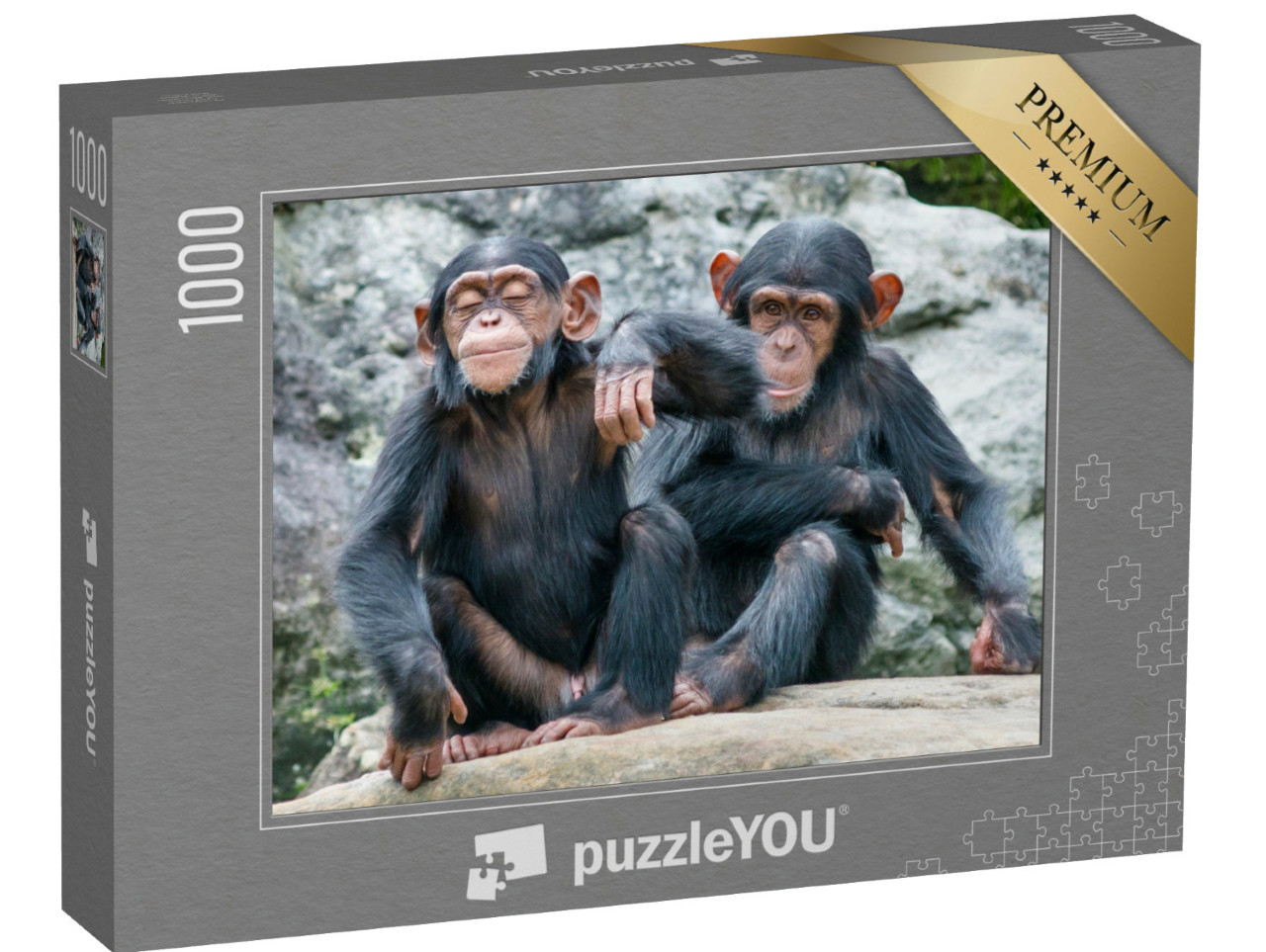 Puzzle de 1000 pièces « Deux bébés chimpanzés espiègles côte à côte »