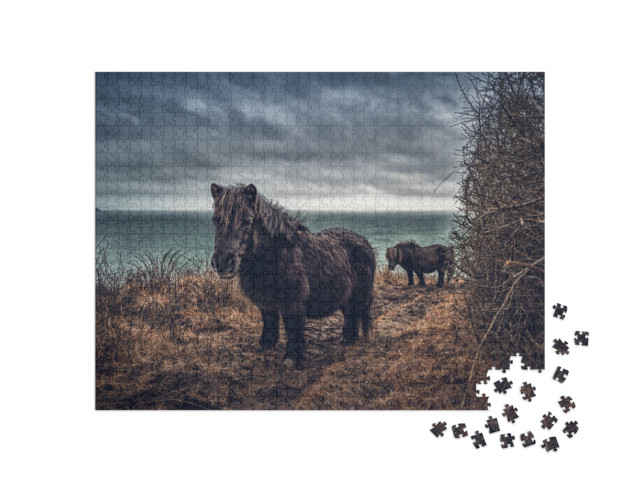 Puzzle de 1000 pièces « Poneys Shetland sur la côte de Cornouailles »