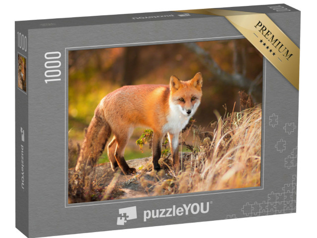 Puzzle de 1000 pièces « Renard roux dans la nature »