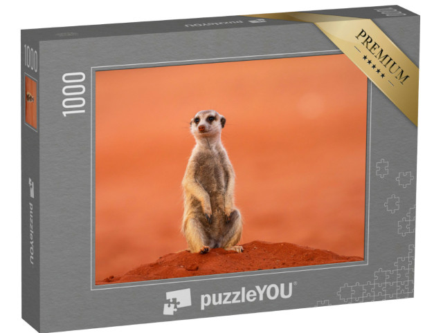 Puzzle de 1000 pièces « Suricate ou suricate »