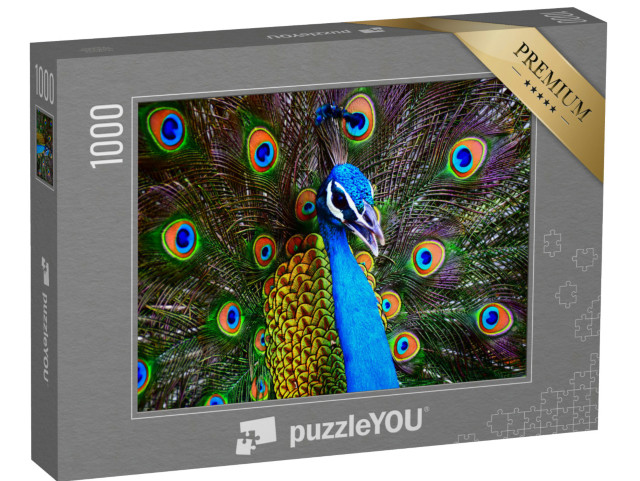 Puzzle de 1000 pièces « Portrait d'un paon dansant multicolore »