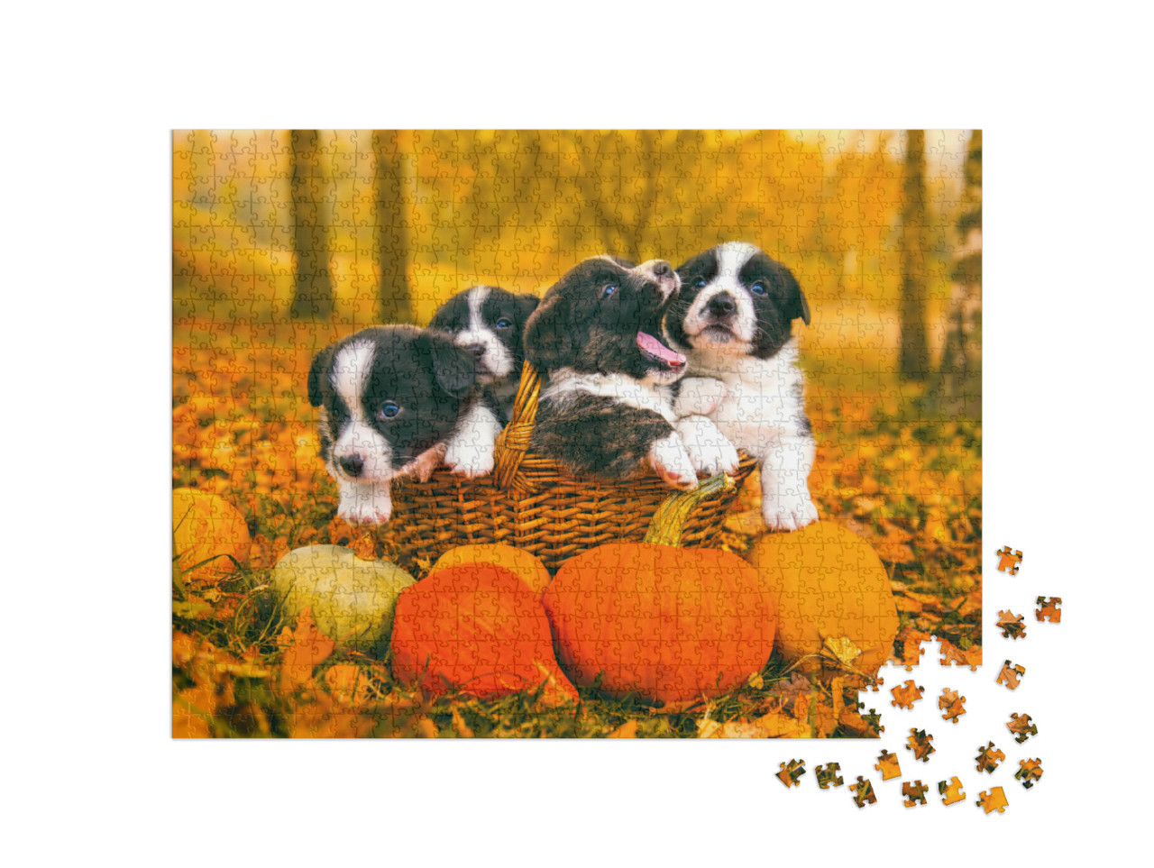 Puzzle de 1000 pièces « Welsh Corgi Pembroke chiots en automne »