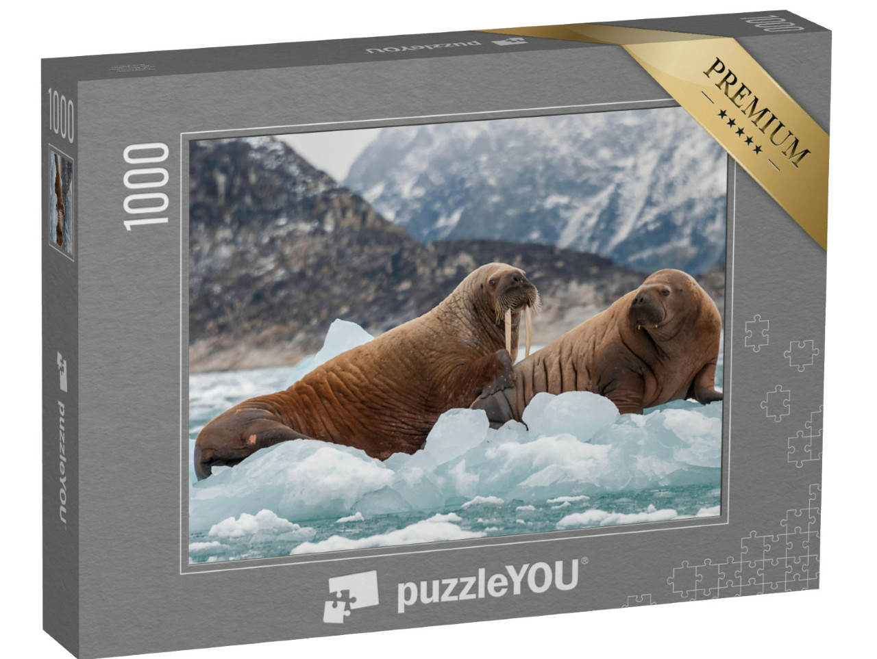 Puzzle de 1000 pièces « Morse et son petit sur la glace d'un fjord, Groenland oriental »