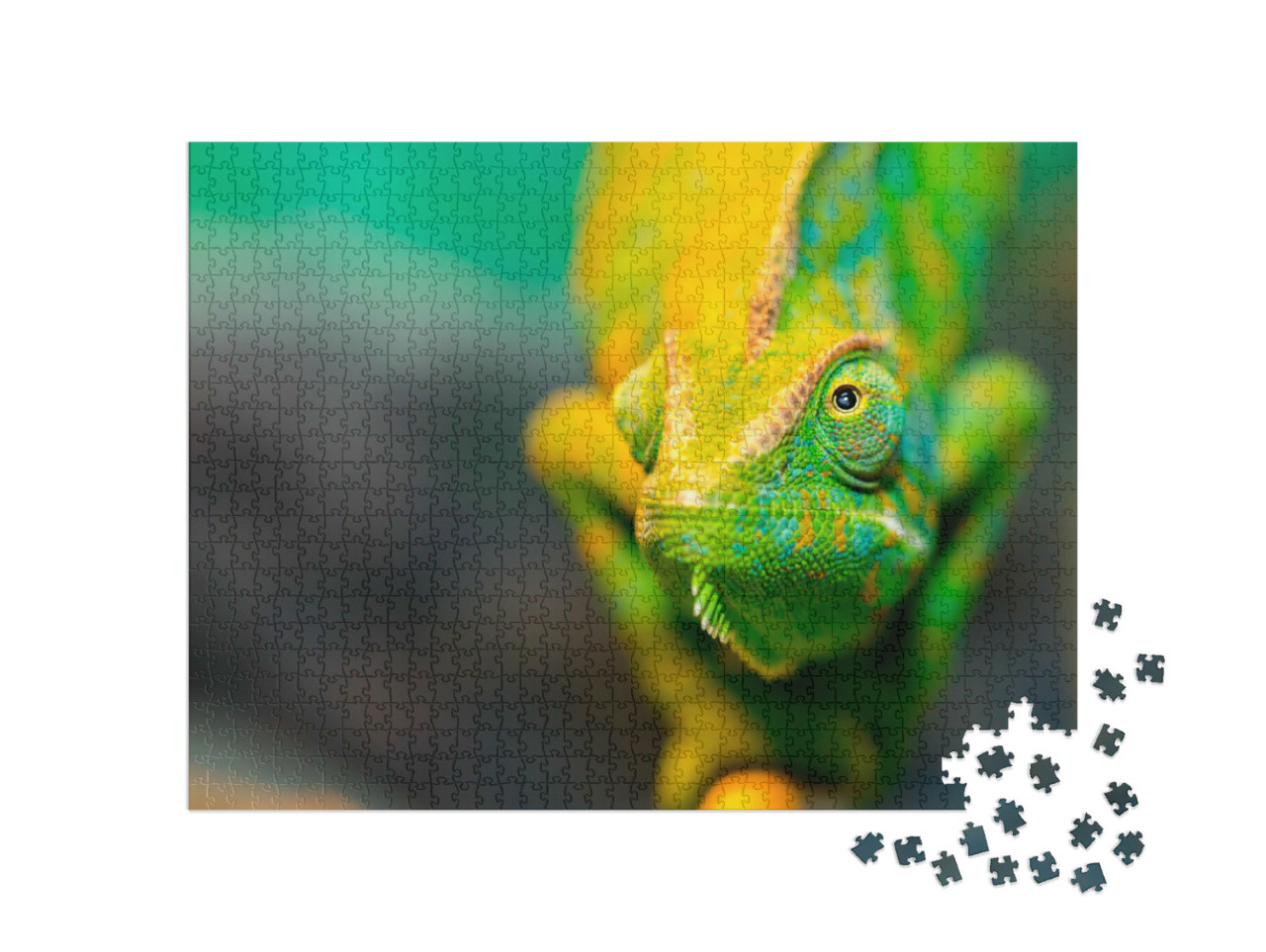 Puzzle de 1000 pièces « Caméléon, gros plan »