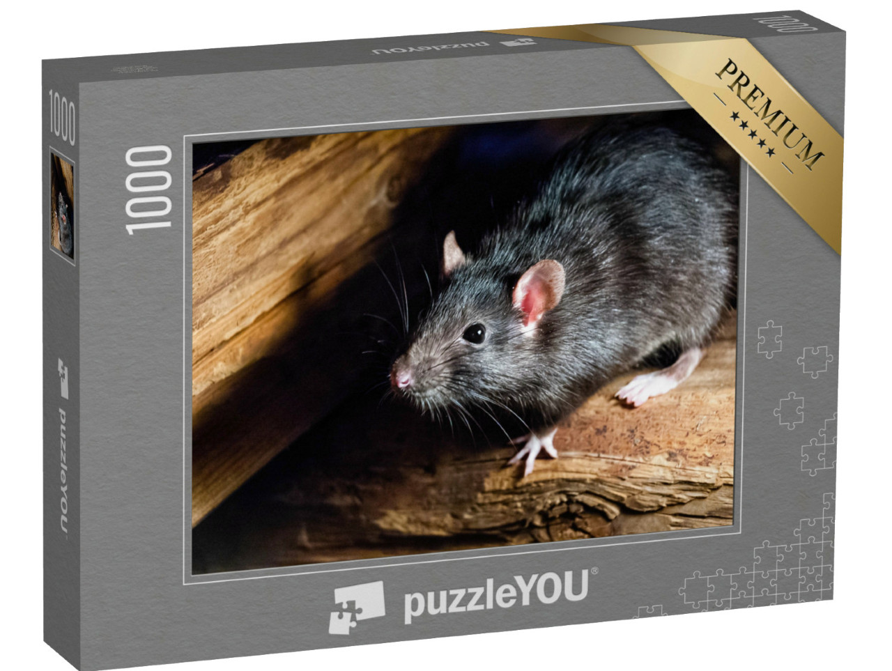 Puzzle de 1000 pièces « Le rat noir, également connu sous le nom de rat de bateau ou rat domestique »