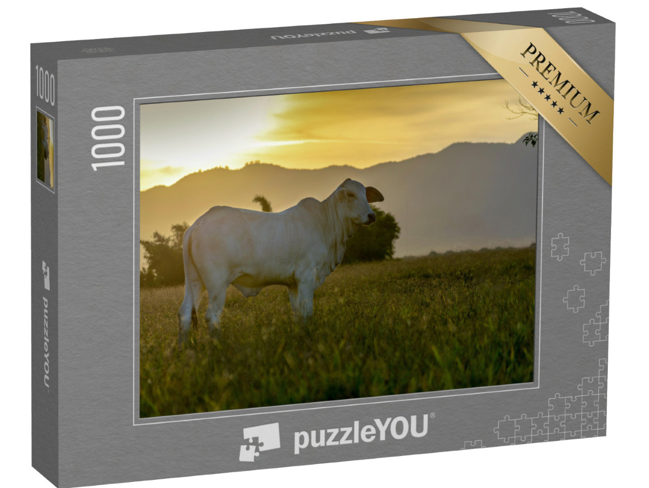 Puzzle de 1000 pièces « Bœuf Nelore au pâturage au coucher du soleil »