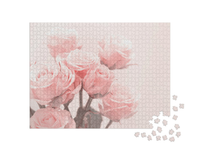 Puzzle de 1000 pièces « Roses rose pâle dans une lumière douce »
