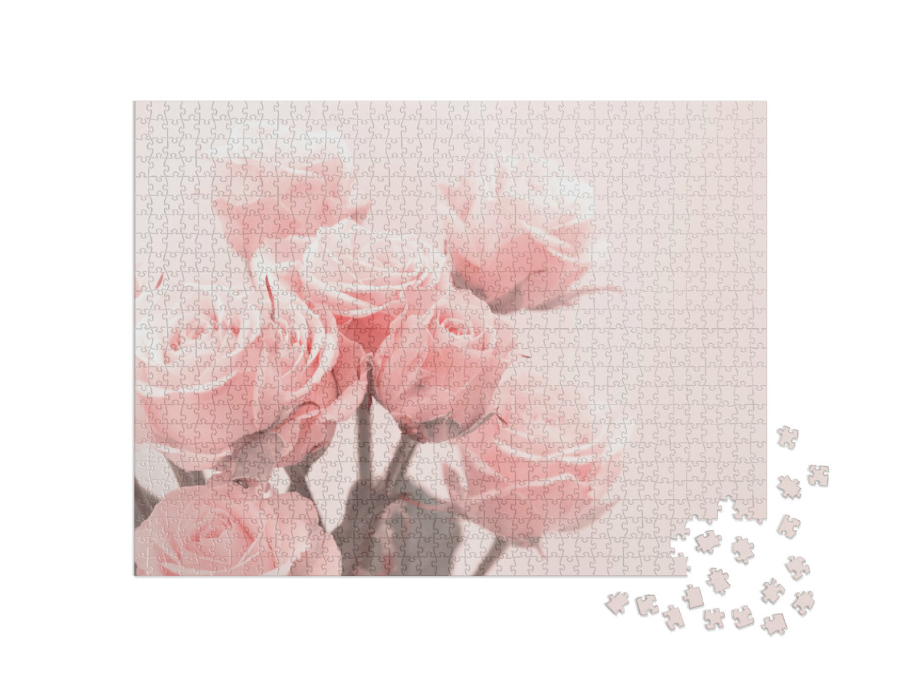 Puzzle de 1000 pièces « Roses rose pâle dans une lumière douce »