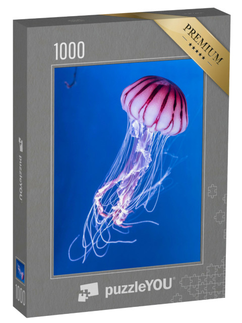 Puzzle de 1000 pièces « L'ortie de mer du Pacifique »
