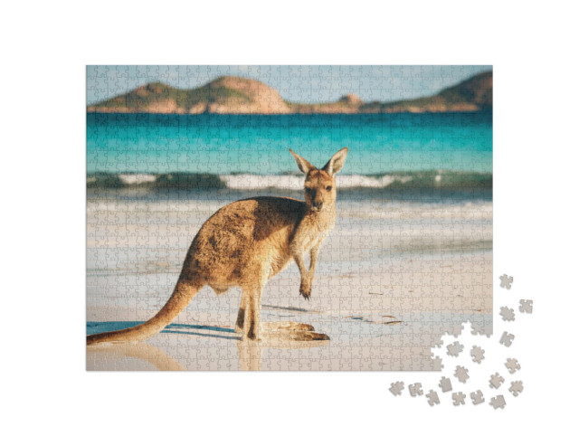 Puzzle de 1000 pièces « Känguru, Lucky Bay, Parc national de Cape Le Grand, Australie »