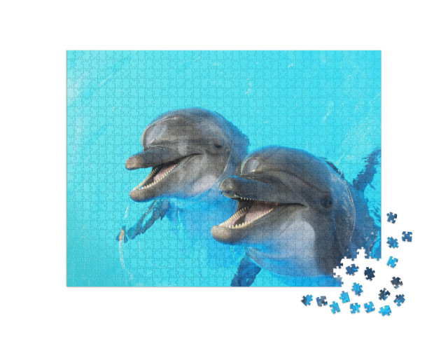 Puzzle de 1000 pièces « Deux dauphins nagent dans la piscine »