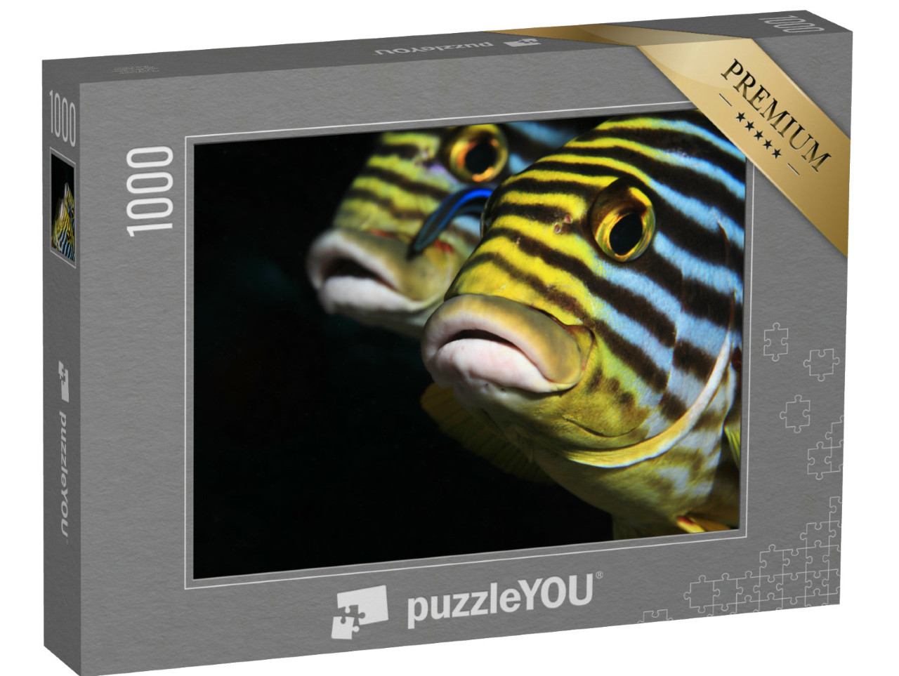 Puzzle de 1000 pièces « Poisson oriental à lèvres douces, Maldives »