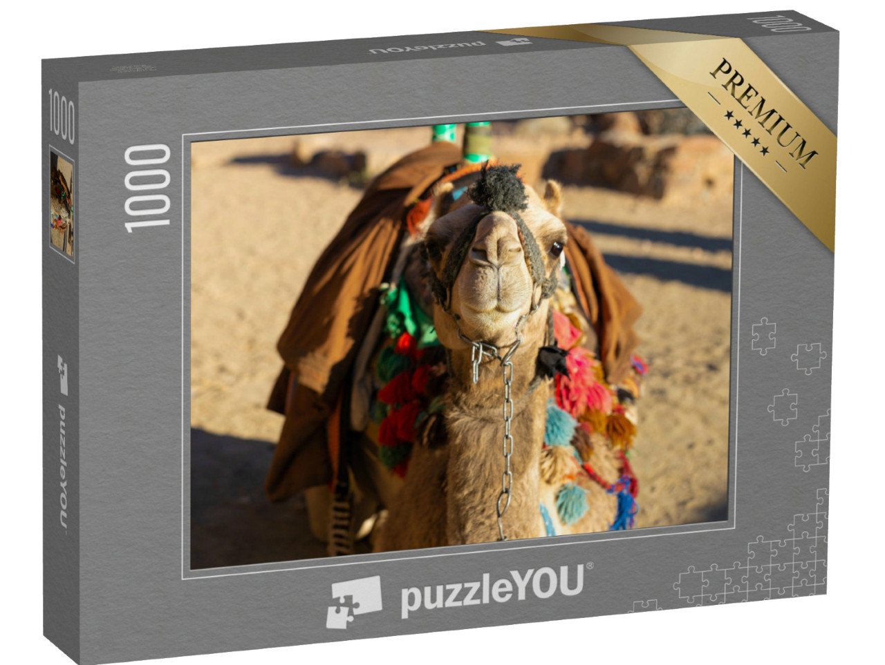 Puzzle de 1000 pièces « Chameau dromadaire devant le sable du désert chaud, Égypte, Sinaï »