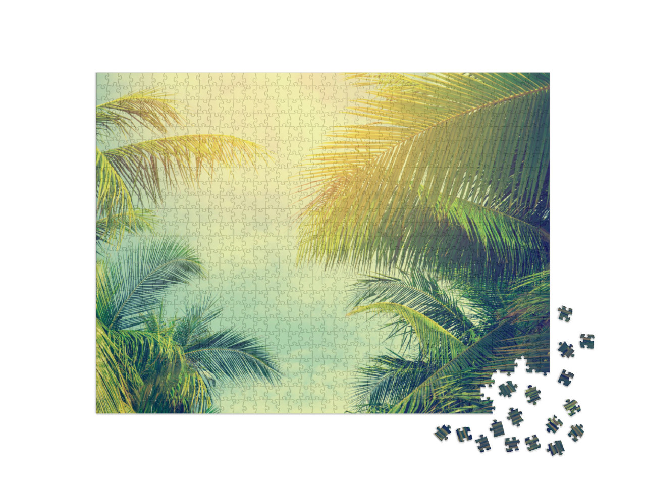 Puzzle de 1000 pièces « Des palmiers sous un ciel bleu »