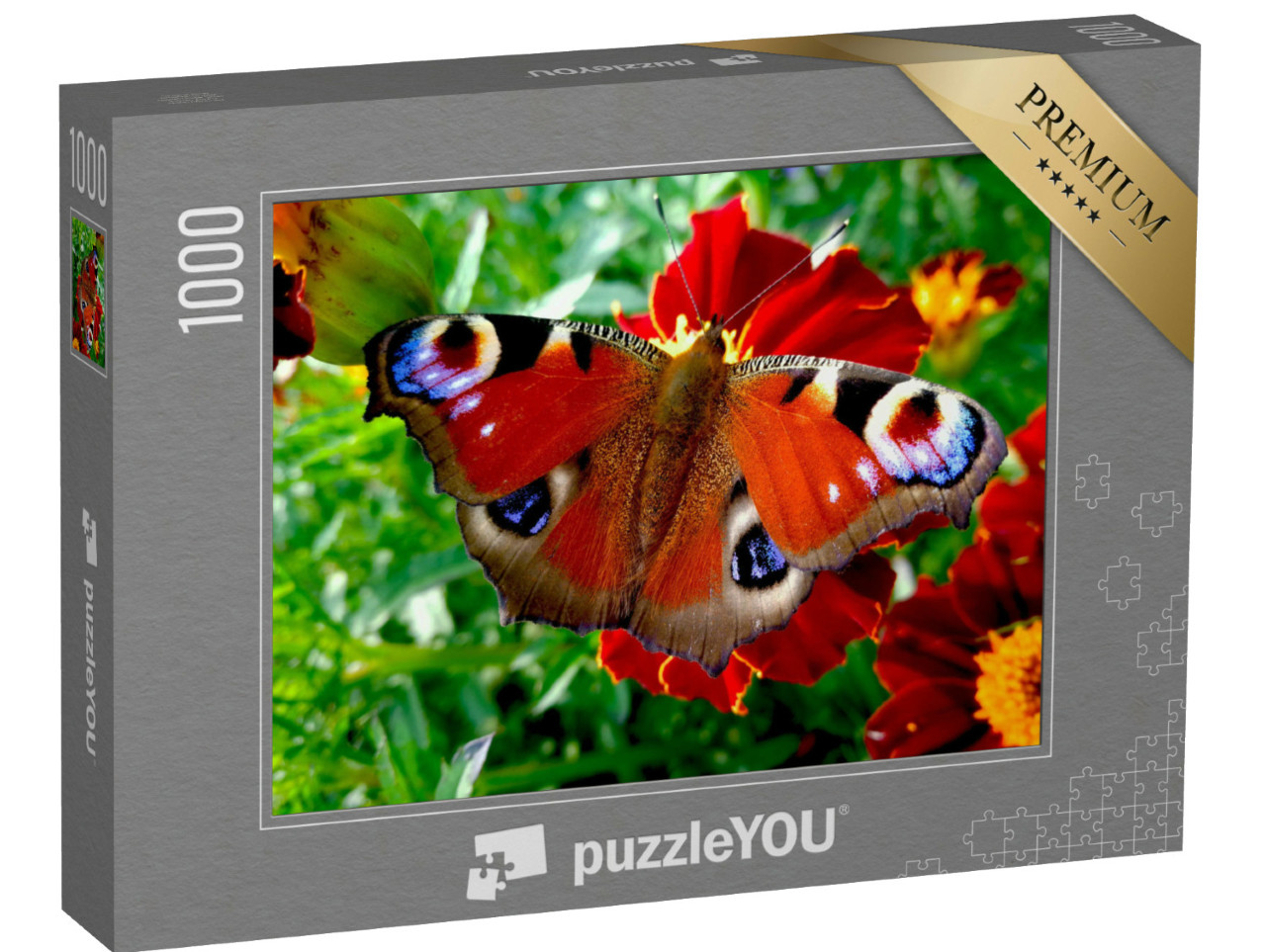 Puzzle de 1000 pièces « Paon du jour sur une fleur rouge »