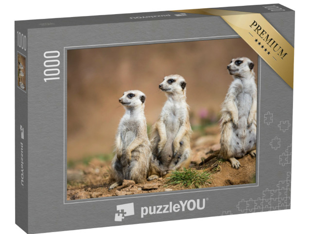 Puzzle de 1000 pièces « Les suricates montent la garde »