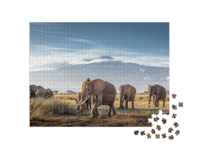 Puzzle de 1000 pièces « Troupeau de grands éléphants d'Afrique se promenant devant le Kilimandjaro au Kenya »