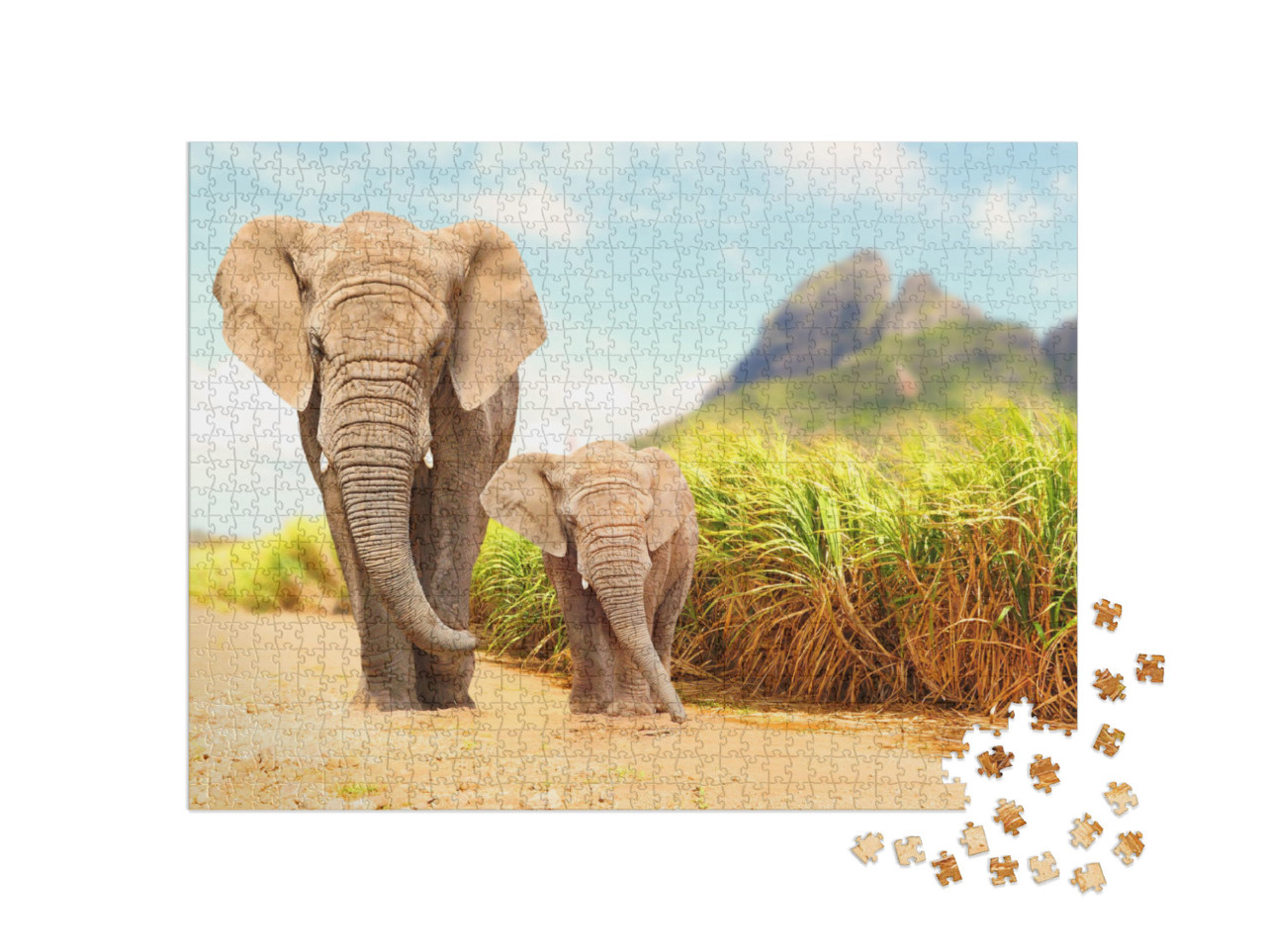 Puzzle de 1000 pièces « Eléphants d'Afrique de la brousse, réserve naturelle »