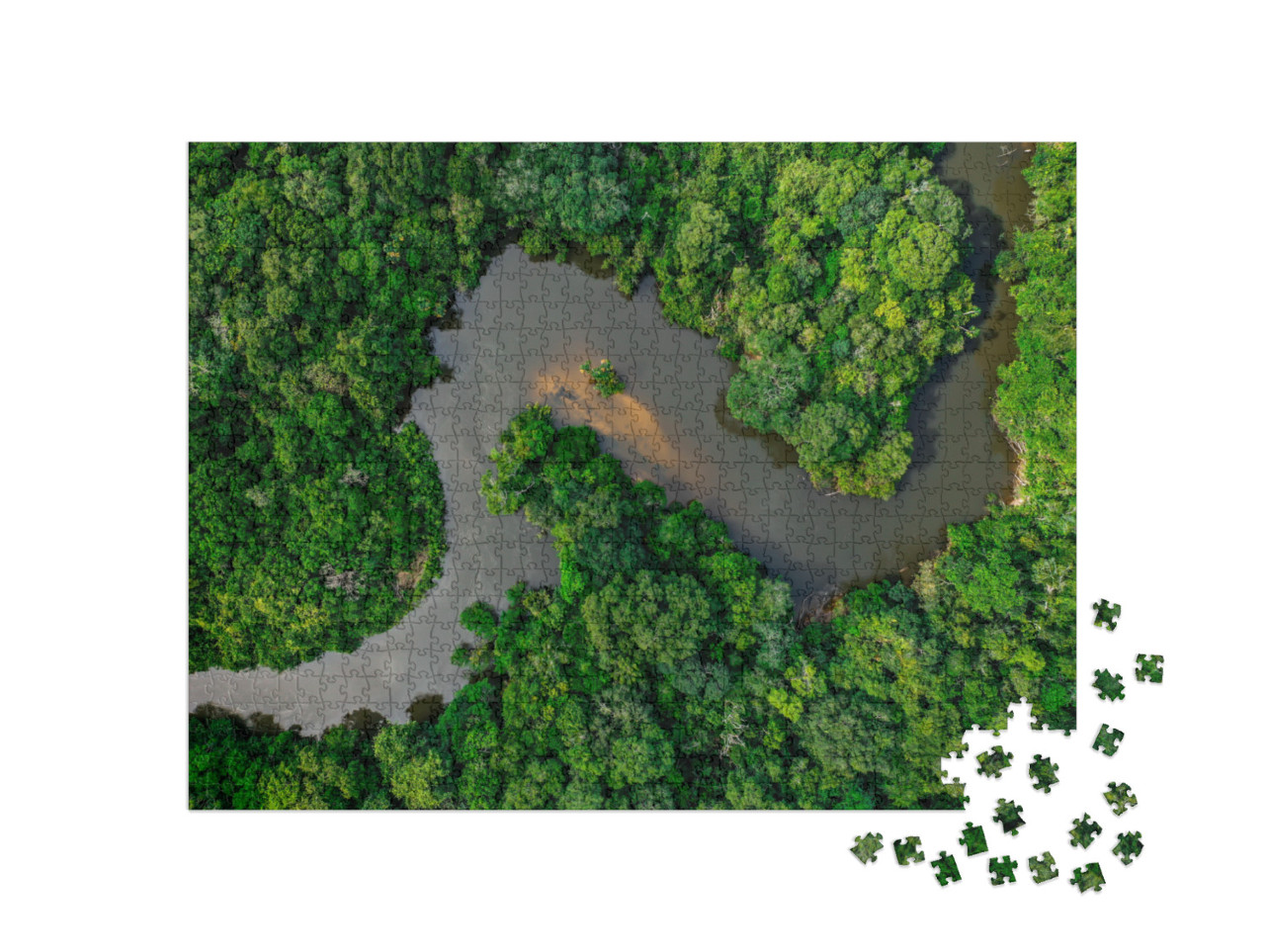 Puzzle de 1000 pièces « Jungle, traversée par une large rivière »