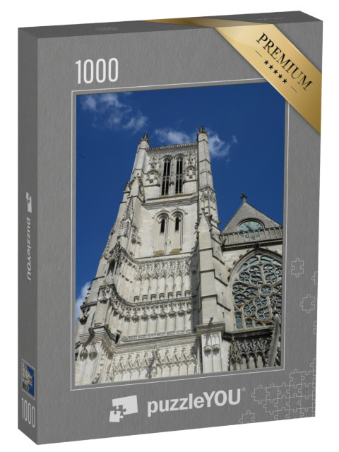 Puzzle de 1000 pièces « Cathédrale de Meaux, France »