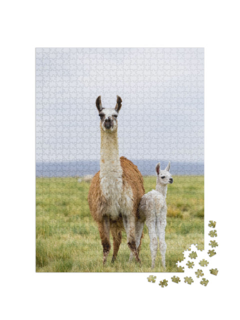 Puzzle de 1000 pièces « Lama avec bébé sur l'Altiplano en Bolivie »