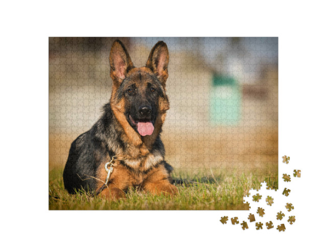Puzzle de 1000 pièces « Un chiot berger allemand couché dans l'herbe »