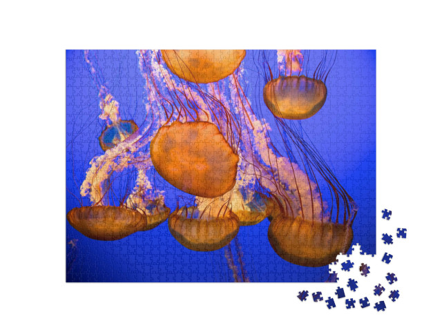 Puzzle de 1000 pièces « Des méduses sur fond de mer bleue »