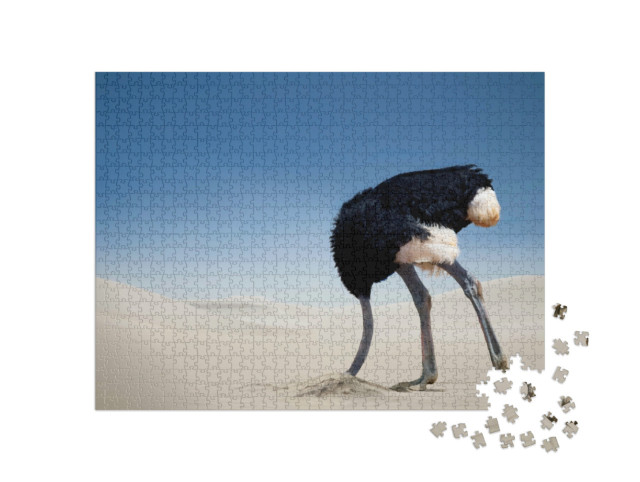 Puzzle de 1000 pièces « Autruche se cachant la tête dans le sable, Parc national de Tsavo East, Kenya, Afrique »
