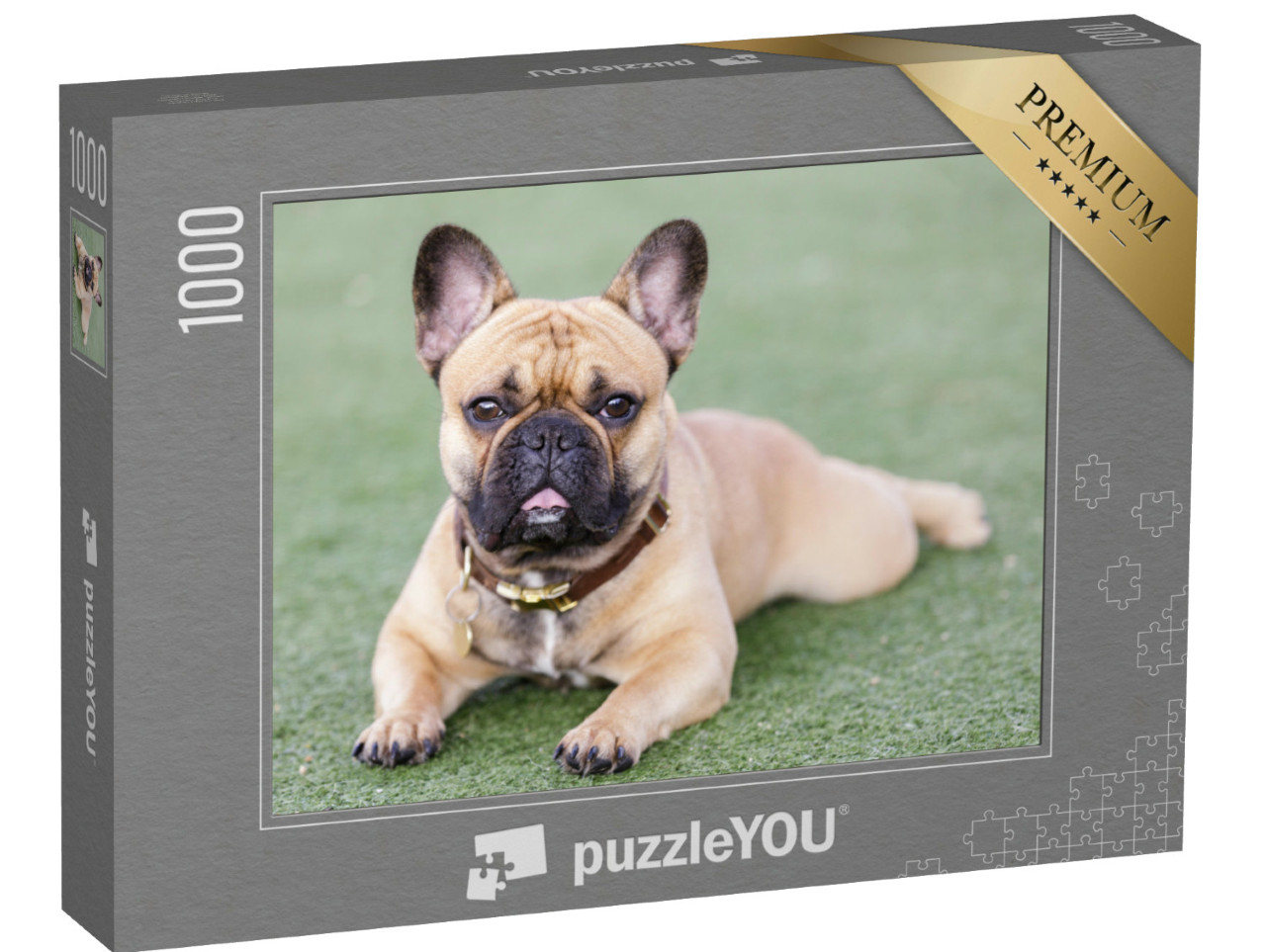 Puzzle de 1000 pièces « Chiot Bouledogue français »
