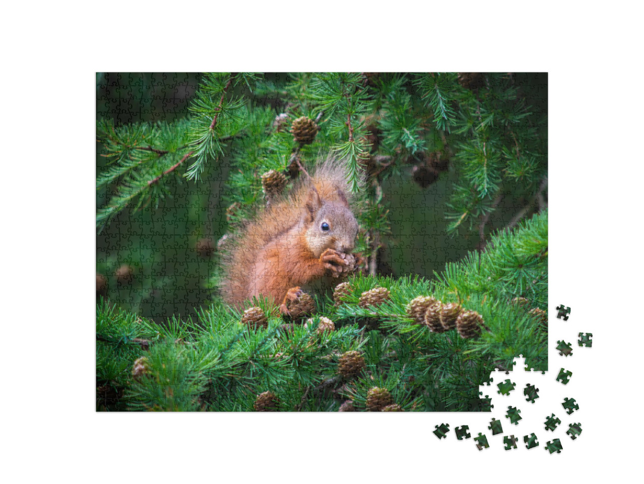 Puzzle de 1000 pièces « Le petit écureuil dans l'arbre »