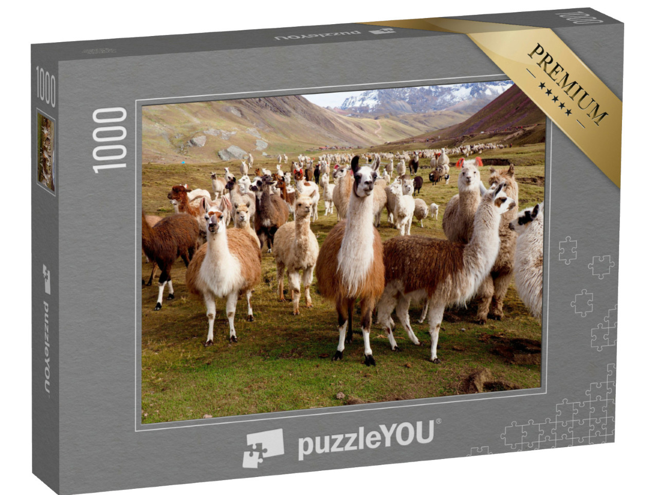 Puzzle de 1000 pièces « Llamas et alpagas du Pérou »