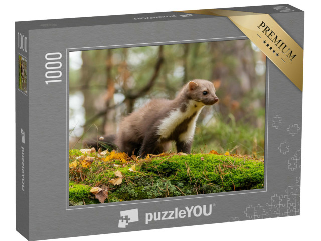 Puzzle de 1000 pièces « Une martre d'Europe »