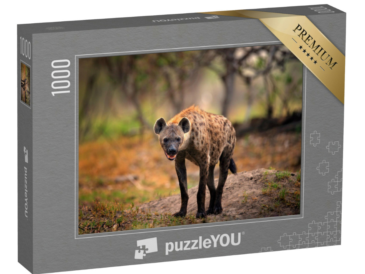 Puzzle de 1000 pièces « Hyène tachetée à la recherche d'une proie, Okavango, Botswana »