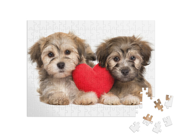 Puzzle de 200 pièces « Chiots havanais »