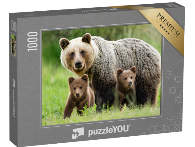 Puzzle de 1000 pièces « Une femelle ours brun avec deux oursons »